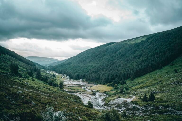 Wicklow Mountains, County Wicklow